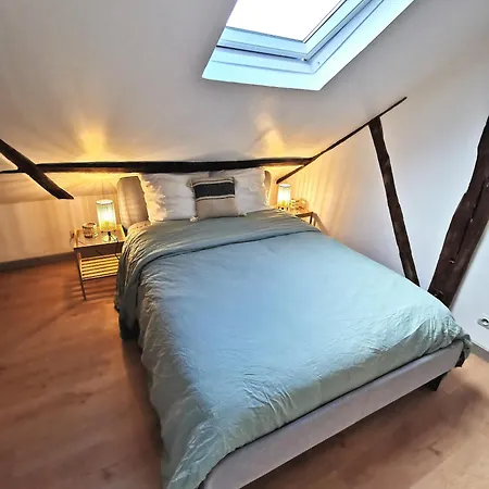 Apartament Deux Pieces Sous Les Toits Tours
