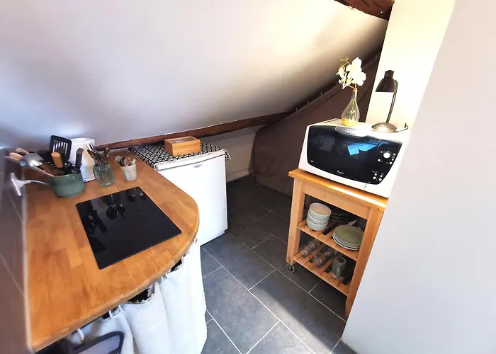 Deux Pieces Sous Les Toits 公寓