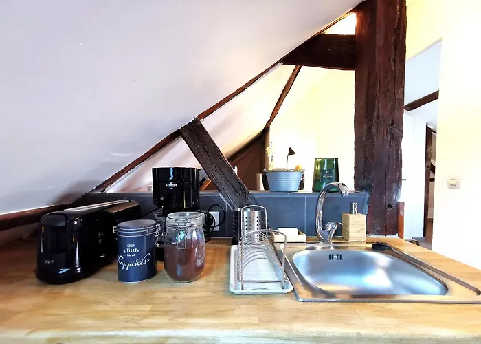 Deux Pieces Sous Les Toits 公寓 图尔