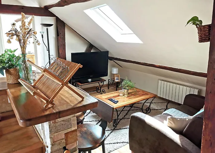 公寓 Deux Pieces Sous Les Toits 图尔